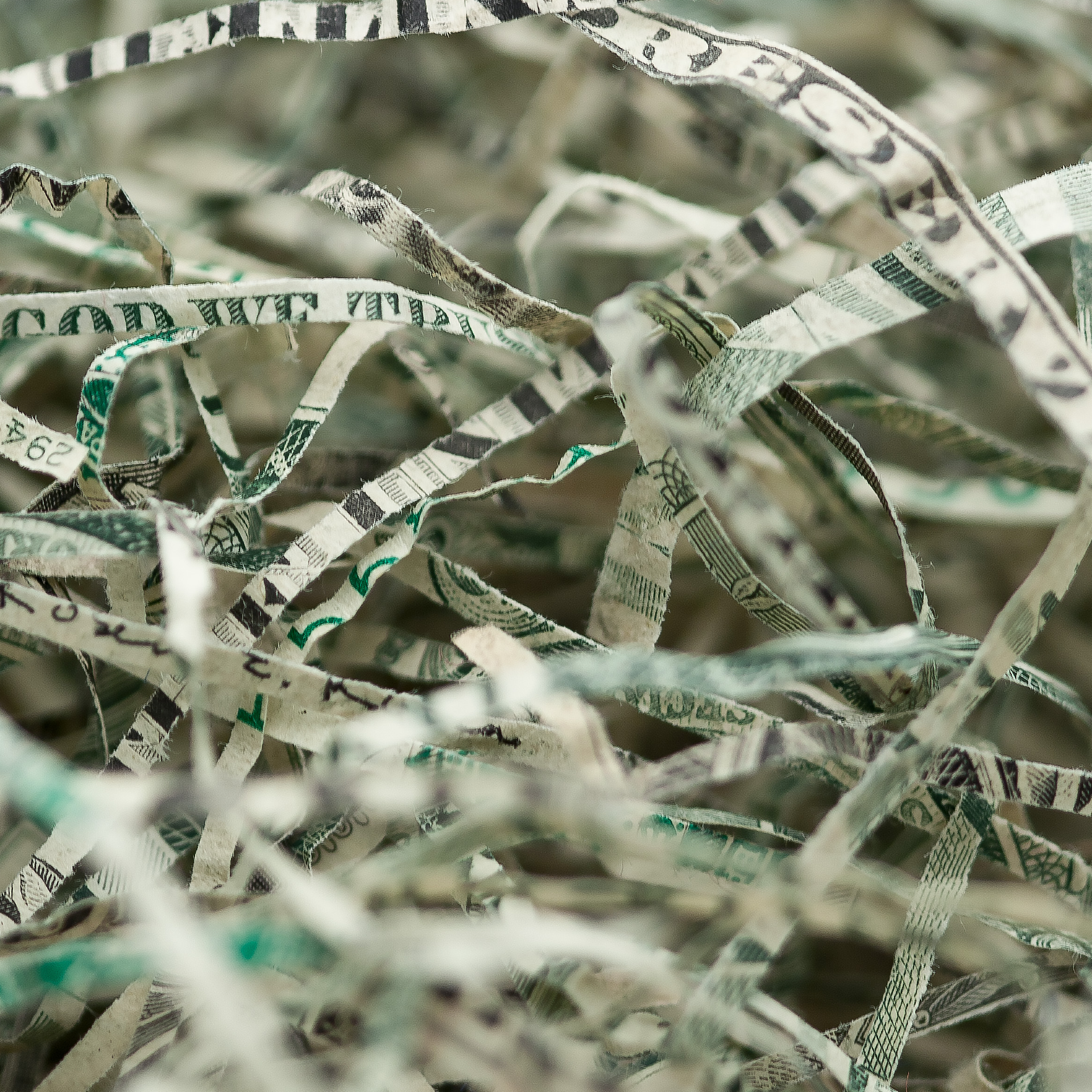 Shredded U.S. Dollars